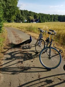 Fahrradtour
